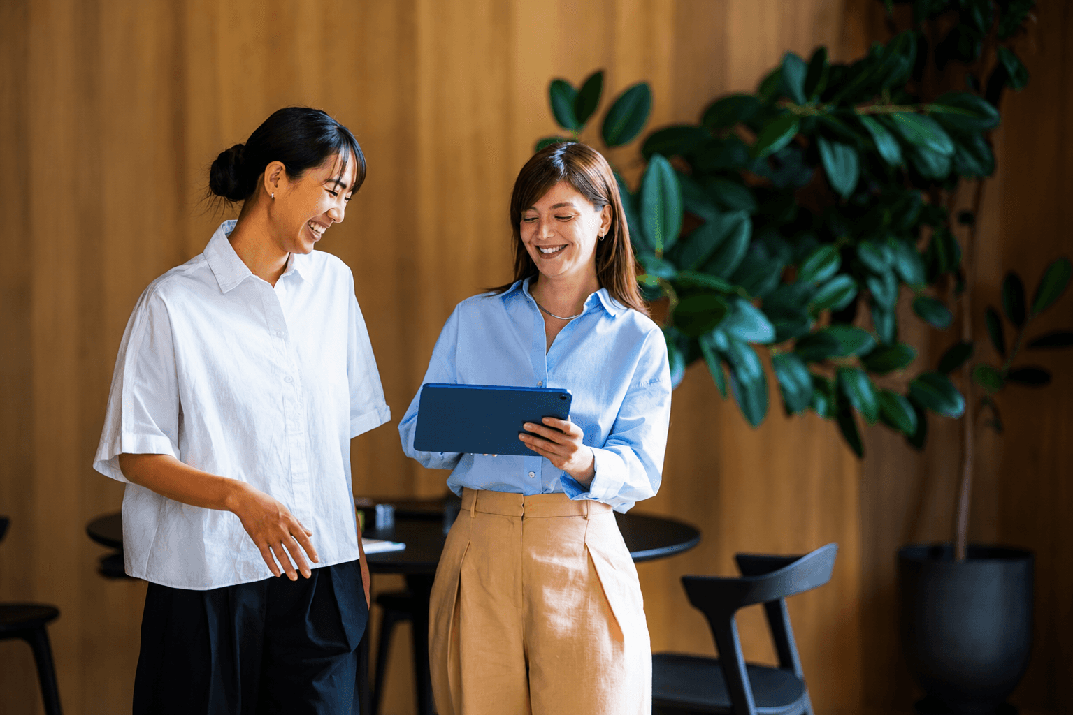Paid Search & Local Ads